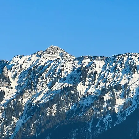 Apartment Edis One Next To Interlaken's Biggest Park *